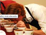 coffee-cupping