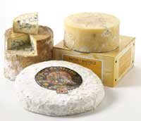 cheese